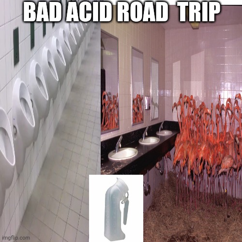 BAD ACID ROAD  TRIP | image tagged in funny memes | made w/ Imgflip meme maker