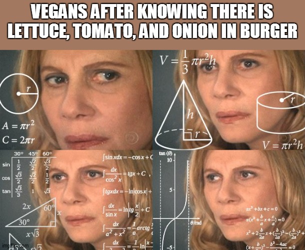 hmM tHiS iS a DiFfiCulT MaTtEr | VEGANS AFTER KNOWING THERE IS LETTUCE, TOMATO, AND ONION IN BURGER | image tagged in calculating meme,funny,memes,vegans | made w/ Imgflip meme maker