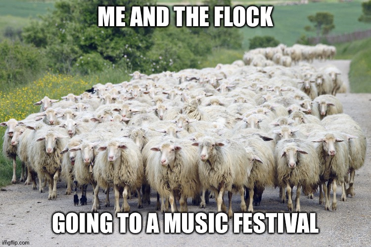 Year of the Sheep | ME AND THE FLOCK; GOING TO A MUSIC FESTIVAL | image tagged in year of the sheep | made w/ Imgflip meme maker