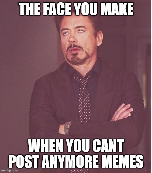 face you make robert downey jr | THE FACE YOU MAKE; WHEN YOU CANT POST ANYMORE MEMES | image tagged in memes,face you make robert downey jr | made w/ Imgflip meme maker