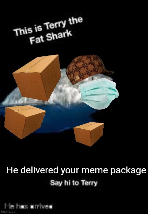Terry the fat shark | He delivered your meme package | image tagged in terry the fat shark | made w/ Imgflip meme maker