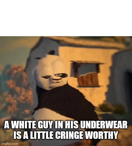 Drunk Kung Fu Panda | A WHITE GUY IN HIS UNDERWEAR IS A LITTLE CRINGE WORTHY | image tagged in drunk kung fu panda | made w/ Imgflip meme maker