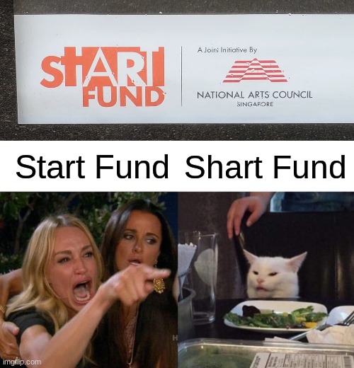 Meanwhile in Singapore | Start Fund; Shart Fund | image tagged in memes,woman yelling at cat,singapore,crappy design,shart | made w/ Imgflip meme maker