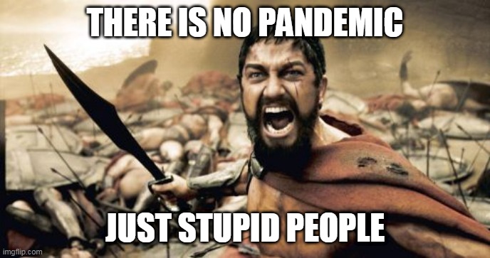 There is No Pandemic ! ! ! | THERE IS NO PANDEMIC; JUST STUPID PEOPLE | image tagged in stupid people,ignorance,ignorant | made w/ Imgflip meme maker
