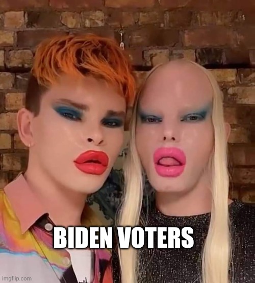 Democrats | BIDEN VOTERS | image tagged in biden,democrats,liberals,voters | made w/ Imgflip meme maker