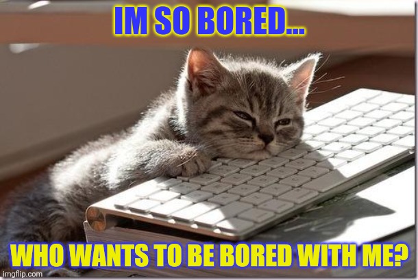 Bored Keyboard Cat | IM SO BORED... WHO WANTS TO BE BORED WITH ME? | image tagged in bored keyboard cat,boredom intensifies | made w/ Imgflip meme maker