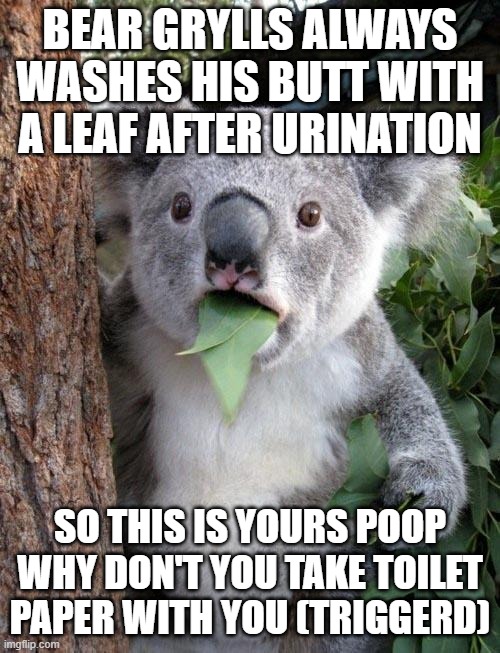 Suprised Koala | BEAR GRYLLS ALWAYS WASHES HIS BUTT WITH A LEAF AFTER URINATION; SO THIS IS YOURS POOP WHY DON'T YOU TAKE TOILET PAPER WITH YOU (TRIGGERD) | image tagged in suprised koala | made w/ Imgflip meme maker