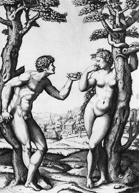 High Quality Adam and Eve Blank Meme Template