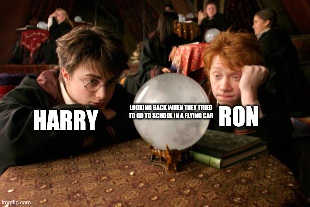 Bummer | RON; LOOKING BACK WHEN THEY TRIED TO GO TO SCHOOL IN A FLYING CAR; HARRY | image tagged in harry potter meme | made w/ Imgflip meme maker