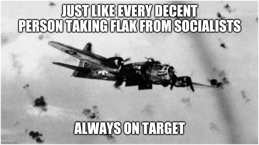 Taking flal | JUST LIKE EVERY DECENT PERSON TAKING FLAK FROM SOCIALISTS; ALWAYS ON TARGET | image tagged in taking flak | made w/ Imgflip meme maker
