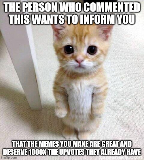 THE PERSON WHO COMMENTED THIS WANTS TO INFORM YOU THAT THE MEMES YOU MAKE ARE GREAT AND DESERVE 1000X THE UPVOTES THEY ALREADY HAVE | image tagged in memes,cute cat | made w/ Imgflip meme maker