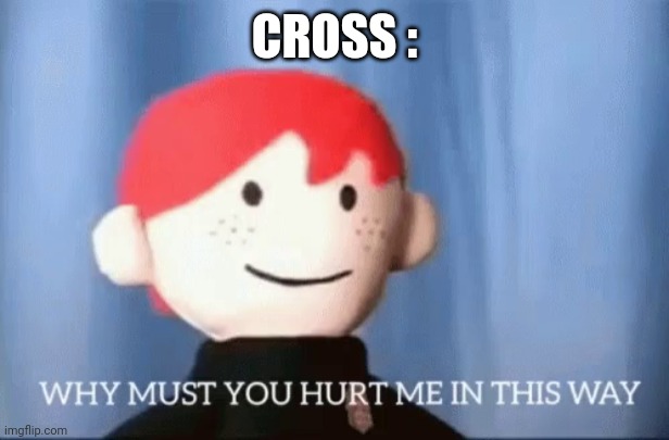why must you hurt me in this way | CROSS : | image tagged in why must you hurt me in this way | made w/ Imgflip meme maker