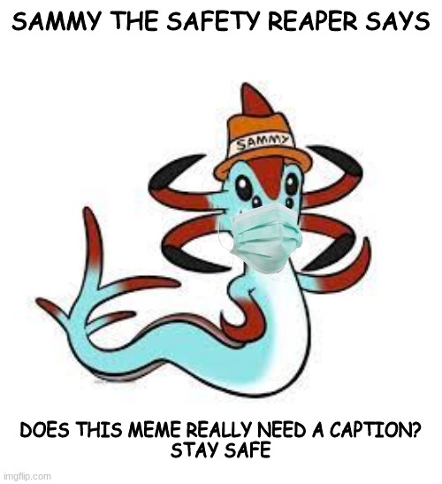 SAMMY THE SAFETY REAPER SAYS; DOES THIS MEME REALLY NEED A CAPTION?
STAY SAFE | made w/ Imgflip meme maker