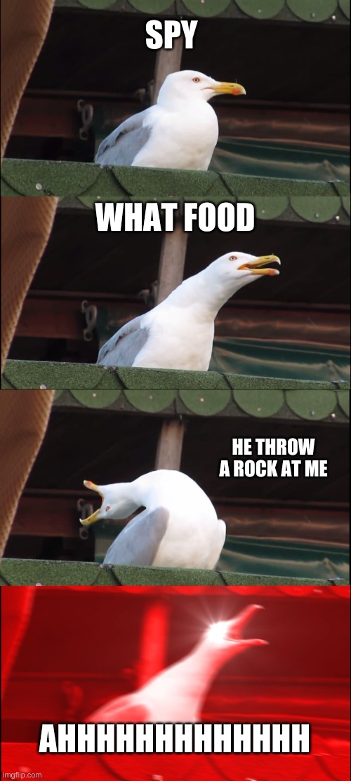 Inhaling Seagull | SPY; WHAT FOOD; HE THROW A ROCK AT ME; AHHHHHHHHHHHHH | image tagged in memes,inhaling seagull | made w/ Imgflip meme maker