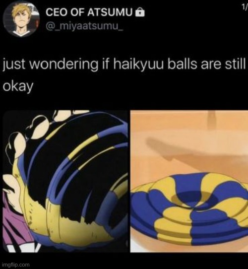 I mean probably not- | image tagged in haikyuu,funny,poor balls | made w/ Imgflip meme maker