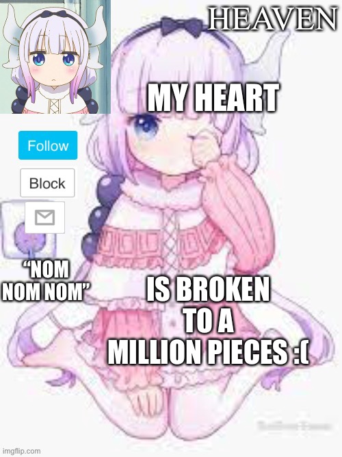 Sadness fills my void of despare... Love has been broken and sadness has awoke... Help Me... | MY HEART; IS BROKEN TO A MILLION PIECES :( | image tagged in heavens template | made w/ Imgflip meme maker