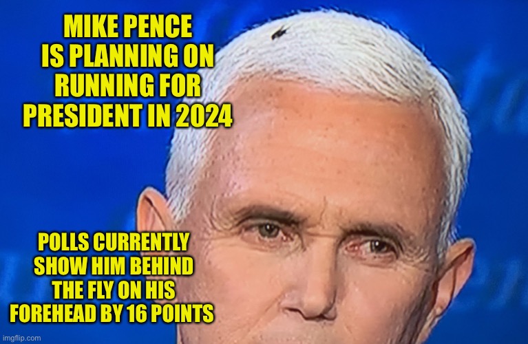 At least the fly has a plan for healthcare | MIKE PENCE IS PLANNING ON RUNNING FOR PRESIDENT IN 2024; POLLS CURRENTLY SHOW HIM BEHIND THE FLY ON HIS FOREHEAD BY 16 POINTS | image tagged in pence fly | made w/ Imgflip meme maker