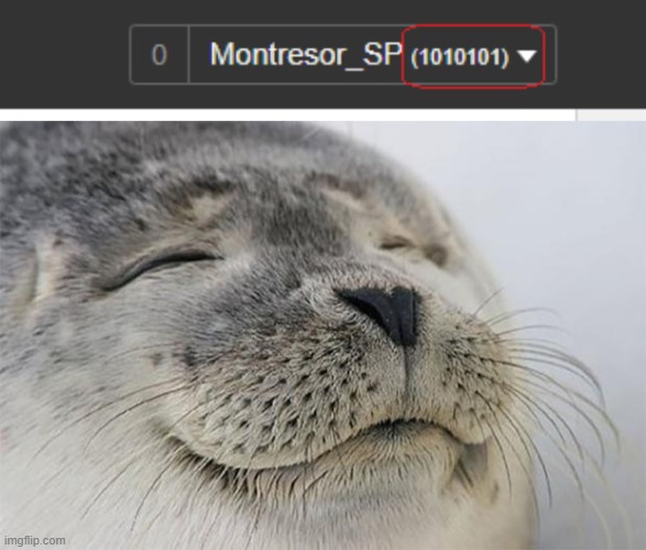 When Symmetry goes Binary | image tagged in memes,satisfied seal,1010101,symmetry | made w/ Imgflip meme maker