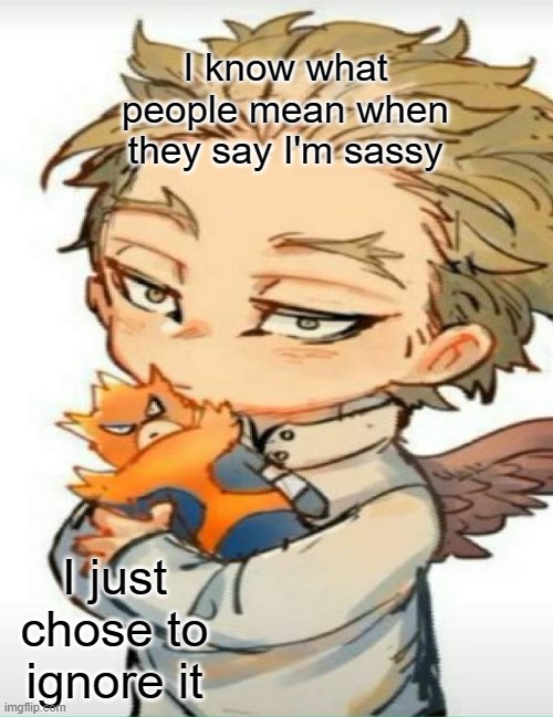 More baby Hawks for your day | I know what people mean when they say I'm sassy; I just chose to ignore it | image tagged in mha,my hero academia | made w/ Imgflip meme maker