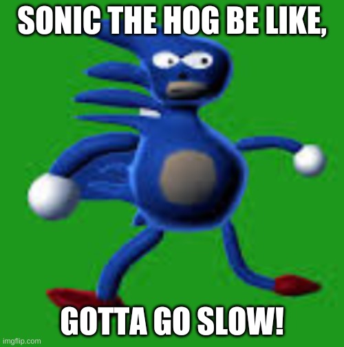 Made this up in my weird head | SONIC THE HOG BE LIKE, GOTTA GO SLOW! | image tagged in meme,fun | made w/ Imgflip meme maker