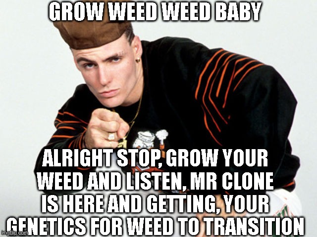 Ice Ice Baby | GROW WEED WEED BABY; ALRIGHT STOP, GROW YOUR WEED AND LISTEN, MR CLONE IS HERE AND GETTING, YOUR GENETICS FOR WEED TO TRANSITION | image tagged in ice ice baby | made w/ Imgflip meme maker