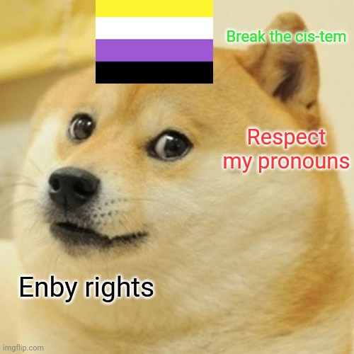 Doge | Break the cis-tem; Respect my pronouns; Enby rights | image tagged in memes,doge | made w/ Imgflip meme maker