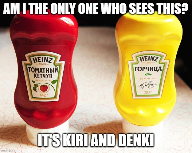 Ketchup and Mustard- | AM I THE ONLY ONE WHO SEES THIS? IT'S KIRI AND DENKI | image tagged in mha,my hero academia | made w/ Imgflip meme maker