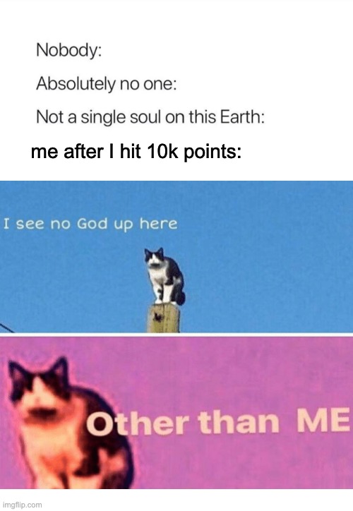 BRUH | me after I hit 10k points: | image tagged in mlems | made w/ Imgflip meme maker