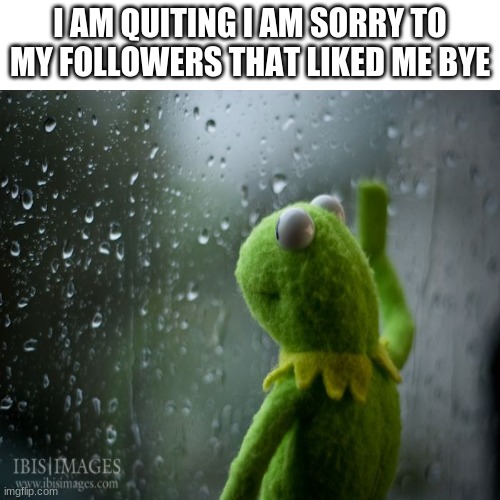 sad indeed | I AM QUITING I AM SORRY TO MY FOLLOWERS THAT LIKED ME BYE | image tagged in regret | made w/ Imgflip meme maker