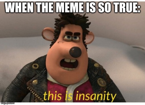 this is insanity | WHEN THE MEME IS SO TRUE: | image tagged in this is insanity | made w/ Imgflip meme maker