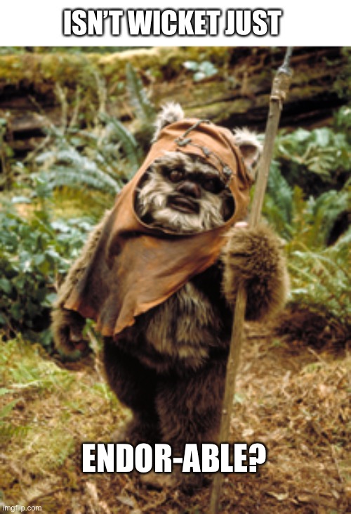 Wicket | ISN’T WICKET JUST; ENDOR-ABLE? | image tagged in star wars | made w/ Imgflip meme maker