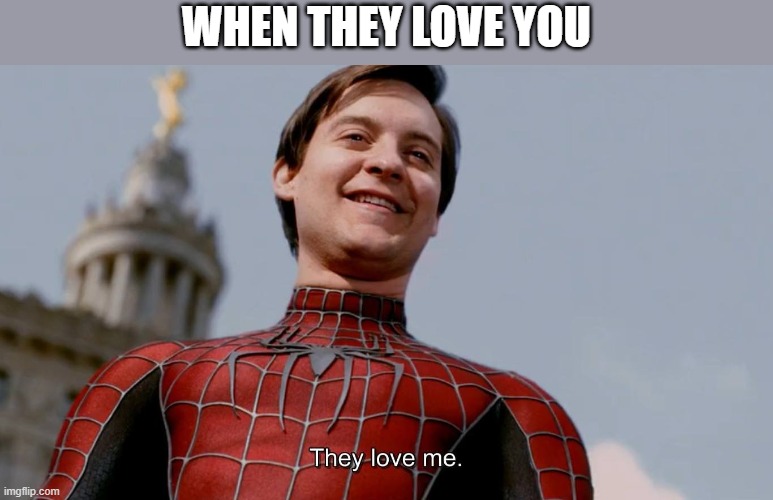 They Love Me | WHEN THEY LOVE YOU | image tagged in they love me | made w/ Imgflip meme maker
