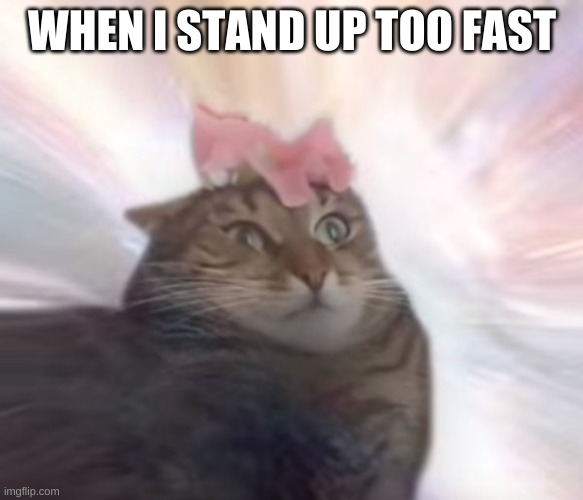 big fax | WHEN I STAND UP TOO FAST | made w/ Imgflip meme maker