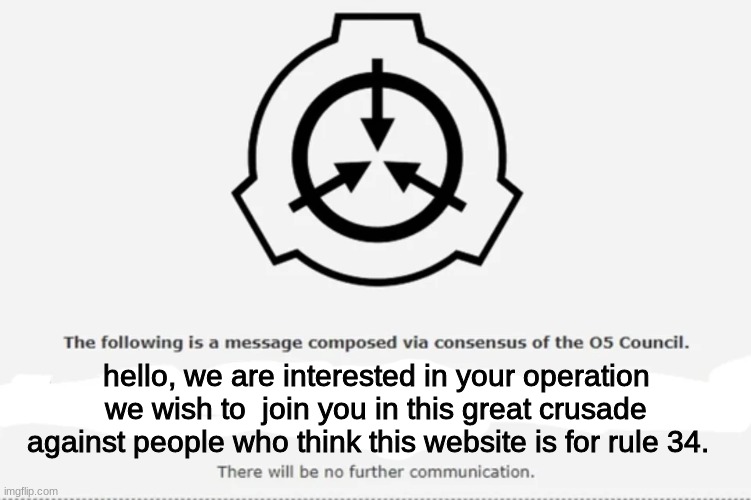 let the 05 council help you | hello, we are interested in your operation we wish to join you in this great crusade against people who think this website is for rule 34. | image tagged in let us help,crusader | made w/ Imgflip meme maker