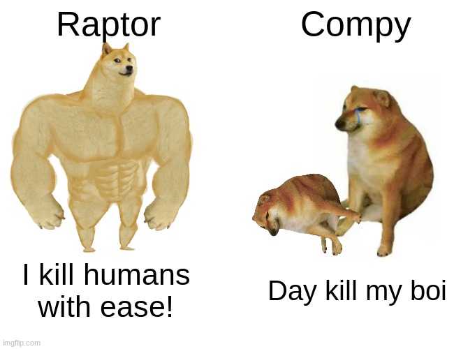 Buff Doge vs. Cheems Meme | Raptor; Compy; I kill humans with ease! Day kill my boi | image tagged in memes,buff doge vs cheems | made w/ Imgflip meme maker