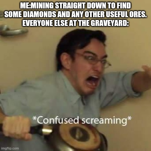 OMG | ME:MINING STRAIGHT DOWN TO FIND SOME DIAMONDS AND ANY OTHER USEFUL ORES.
EVERYONE ELSE AT THE GRAVEYARD: | image tagged in filthy frank confused scream | made w/ Imgflip meme maker