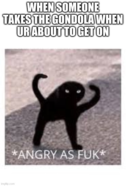 Angery as Fuk |  WHEN SOMEONE TAKES THE GONDOLA WHEN UR ABOUT TO GET ON | image tagged in angery as fuk | made w/ Imgflip meme maker