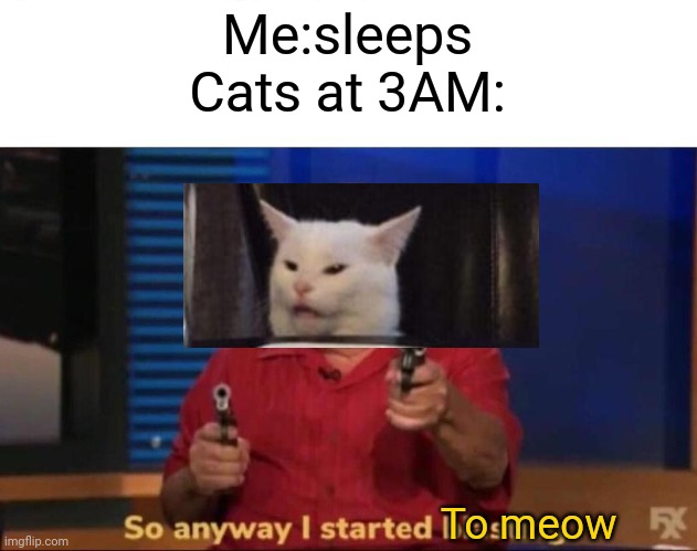 Cats at 3AM be like | Me:sleeps
Cats at 3AM:; To meow | image tagged in so anyway i started blasting | made w/ Imgflip meme maker