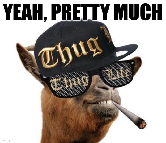 High Quality Yeah pretty much thug life camel Blank Meme Template