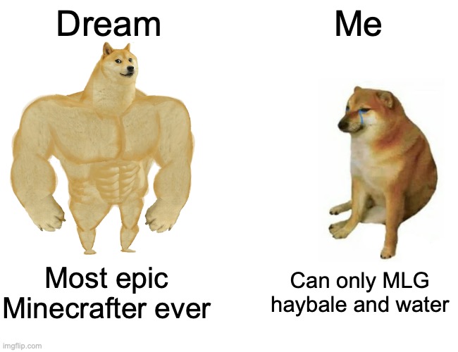 Dream vs. Me | Dream; Me; Most epic Minecrafter ever; Can only MLG haybale and water | image tagged in memes,buff doge vs cheems,minecraft,sad doge,dream | made w/ Imgflip meme maker