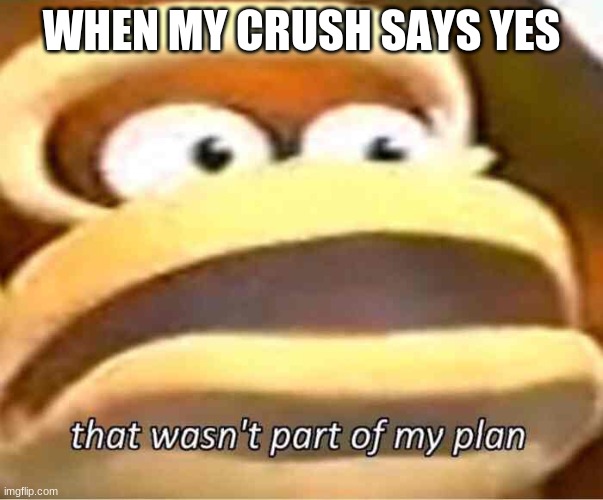 That wasn't part of my plan | WHEN MY CRUSH SAYS YES | image tagged in that wasn't part of my plan | made w/ Imgflip meme maker