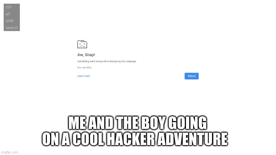 hackers | ME AND THE BOY GOING ON A COOL HACKER ADVENTURE | image tagged in me and the boys,pie charts | made w/ Imgflip meme maker