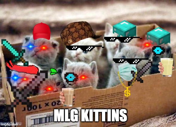 box of cats | MLG KITTINS | image tagged in box of cats | made w/ Imgflip meme maker