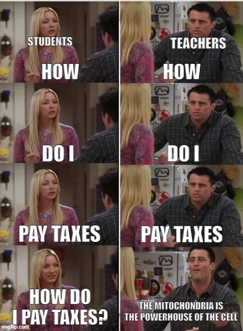 Schools be like: |  STUDENTS; TEACHERS; HOW; HOW; DO I; DO I; PAY TAXES; PAY TAXES; HOW DO I PAY TAXES? THE MITOCHONDRIA IS THE POWERHOUSE OF THE CELL | image tagged in funny memes,memes,phoebe teaching joey in friends,unhelpful teacher | made w/ Imgflip meme maker