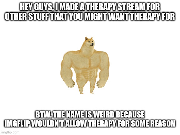 imgflip.com/m/therapeutichelp - that's the stream! | HEY GUYS, I MADE A THERAPY STREAM FOR OTHER STUFF THAT YOU MIGHT WANT THERAPY FOR; BTW, THE NAME IS WEIRD BECAUSE IMGFLIP WOULDN'T ALLOW THERAPY FOR SOME REASON | image tagged in blank white template | made w/ Imgflip meme maker