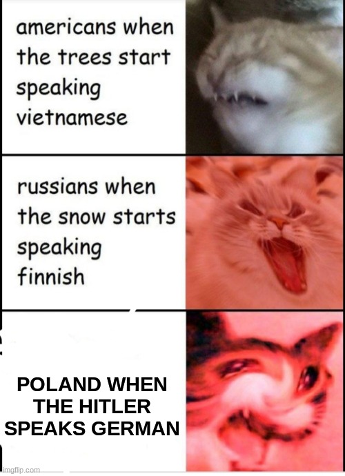 Screaming cats | POLAND WHEN THE; POLAND WHEN THE HITLER SPEAKS GERMAN | image tagged in screaming cats | made w/ Imgflip meme maker