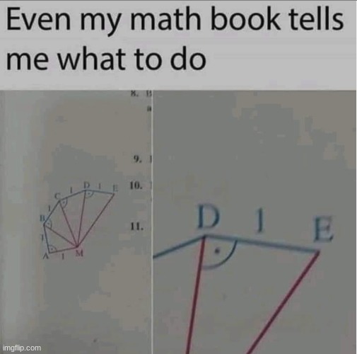 D1e | image tagged in math sucks,yeehaw | made w/ Imgflip meme maker