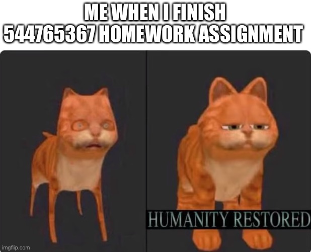humanity restored | ME WHEN I FINISH 544765367 HOMEWORK ASSIGNMENT | image tagged in humanity restored | made w/ Imgflip meme maker