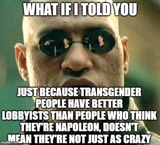 What if i told you | WHAT IF I TOLD YOU; JUST BECAUSE TRANSGENDER PEOPLE HAVE BETTER LOBBYISTS THAN PEOPLE WHO THINK THEY'RE NAPOLEON, DOESN'T MEAN THEY'RE NOT JUST AS CRAZY | image tagged in what if i told you | made w/ Imgflip meme maker