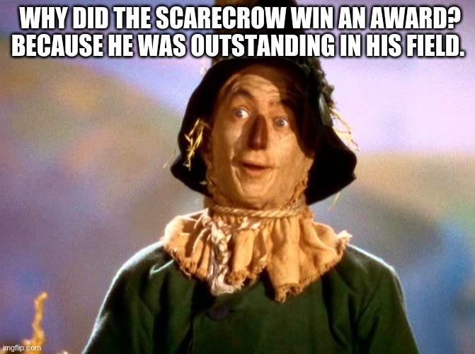 Wizard of Oz Scarecrow | WHY DID THE SCARECROW WIN AN AWARD?
BECAUSE HE WAS OUTSTANDING IN HIS FIELD. | image tagged in wizard of oz scarecrow | made w/ Imgflip meme maker